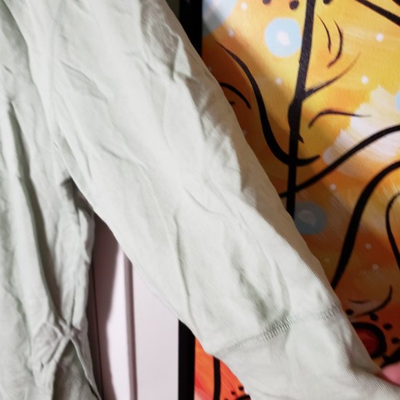 Roaman's Hoodie - Sage Green - Super Soft - 4X (34/36) - Picture 4 of 5